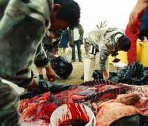 heima.olivant.fo Slaughter