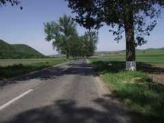 Slava