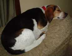 christinairene.com Sleepingg