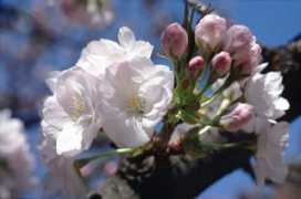 pirtslietas.lv Slotina