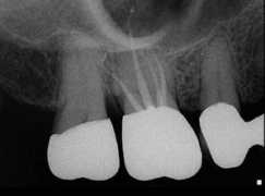 dentalindia.com Slsl
