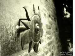 wallpaper.cz Slunce