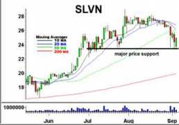 Slvn