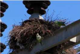 organismforpoeticresearch.org Smailbegovic