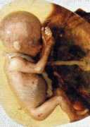 theforbiddenknowledge.com Smallbaby