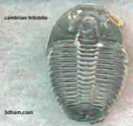 3dham.com Smana