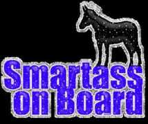 funscrape.com Smartass