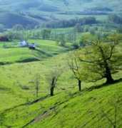 gallery202online.com Smilan