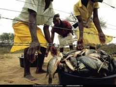 photography.nationalgeographic.com Smugglers