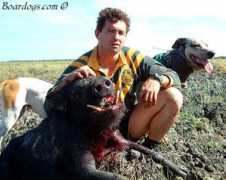 boardogs.com Snelly