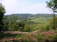 geograph.org.uk Snever