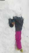 Snezena