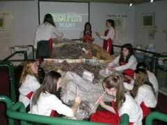 travelvivi.com Snhs