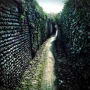 allthingsconsidered.co.uk Snicket
