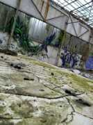 Snil