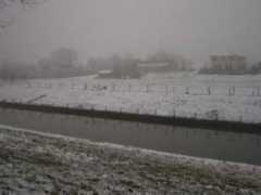 Snoeken