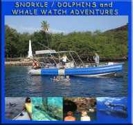 dolphindiscoveries.com Snork