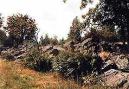 ecoregion.org Snosy