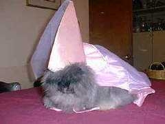 mybunnies.com Snugglebunny