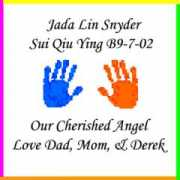 angelcovers.org Snyderr