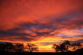 Soare
