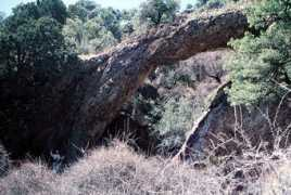 naturalarches.org Soaz
