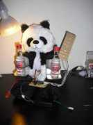 Sobear