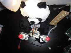 Sobear