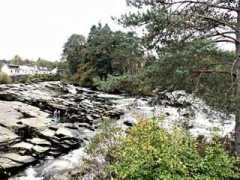 printsofscotland.com Sochart