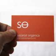 guerriniisland.com Societat