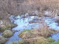 Sodden