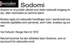 journalen.hioa.no Sodomi
