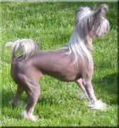 Sofie