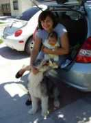 oes.org Sofita