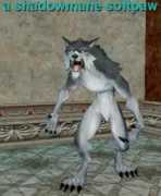 everquest.allakhazam.com Softpaw
