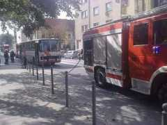 kisalfold.hu Sokorai