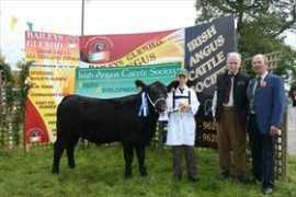 irishangus.ie Solaker