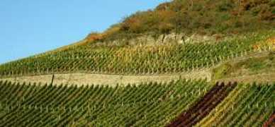 germany.travel Solawa