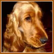 fotoakademie.cz Solcova