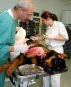 zpravy.idnes.cz Soldatek