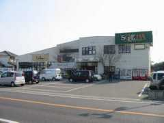 Soleha