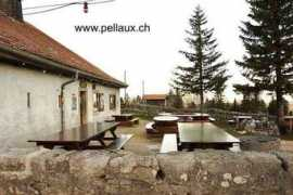pellaux.ch Soliat