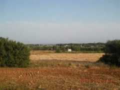 immobilien-apulien.de Solidoro