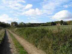 petergoodearl.co.uk Solinger