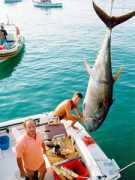 biggame.it Solitari