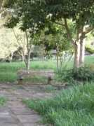 panoramio.com Solitario