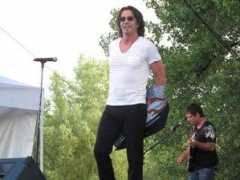 rickspringfield.us Solivio