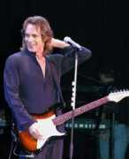 rickspringfield.us Solivio