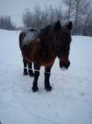 bluebeautiful.blogg.no Solrun