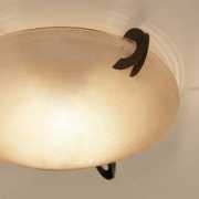 ylighting.com Solune